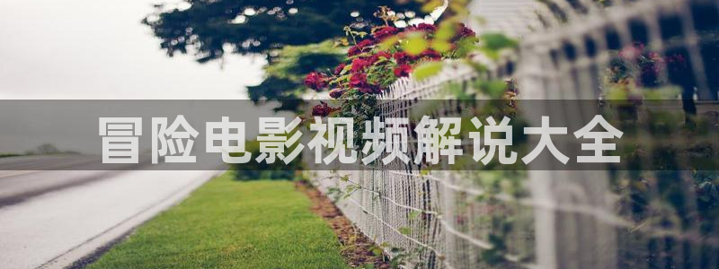 星辰影视免费观看电影