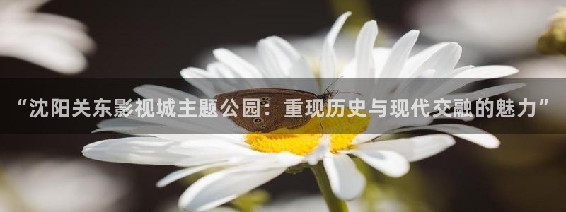 星辰影院策驰影院星空影院