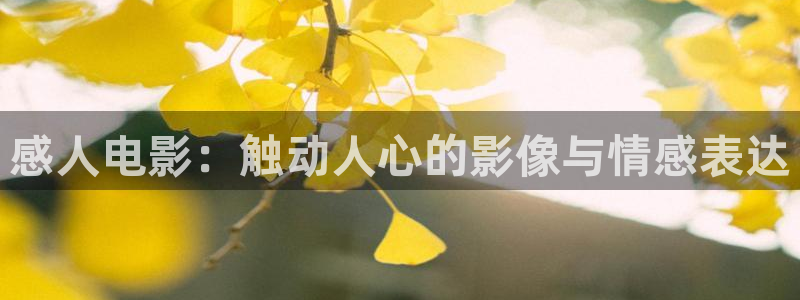 大侠霍元甲星辰影视